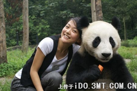 美女与国宝熊猫的第一次亲密约会
